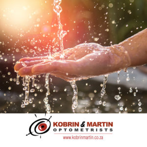 Kobrin Martin